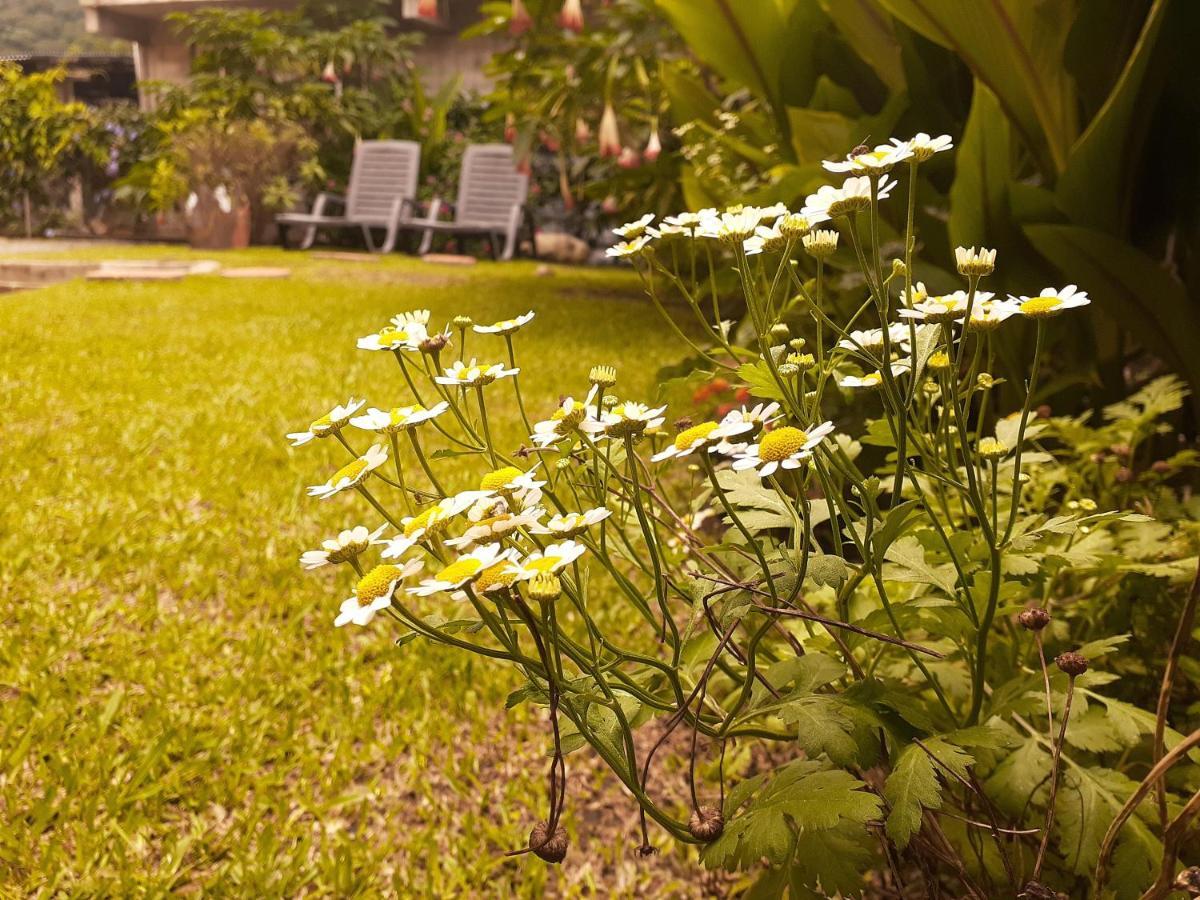 Boquete Town Hostal Екстериор снимка